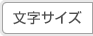 文字サイズ